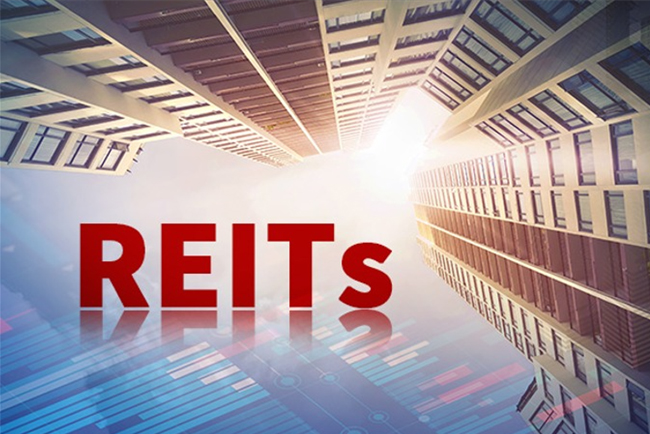 自营优质资产金融属性提升